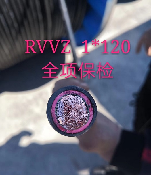 阻燃电缆·ZC-VVR